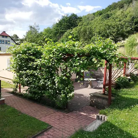 Ferienhaus Gaensebluemchen Konigstein an der Elbe Exterior photo