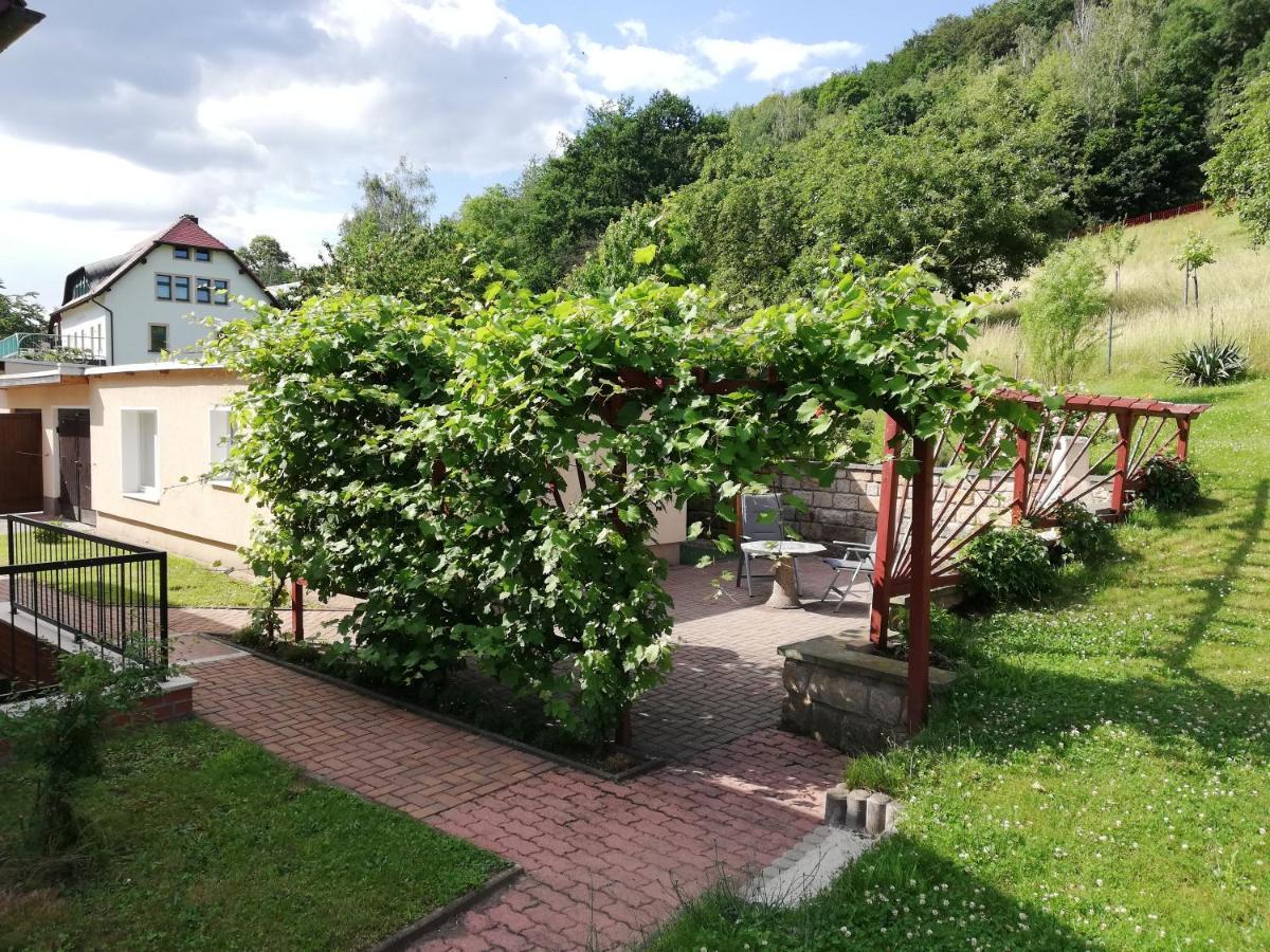 Holiday home Gaensebluemchen