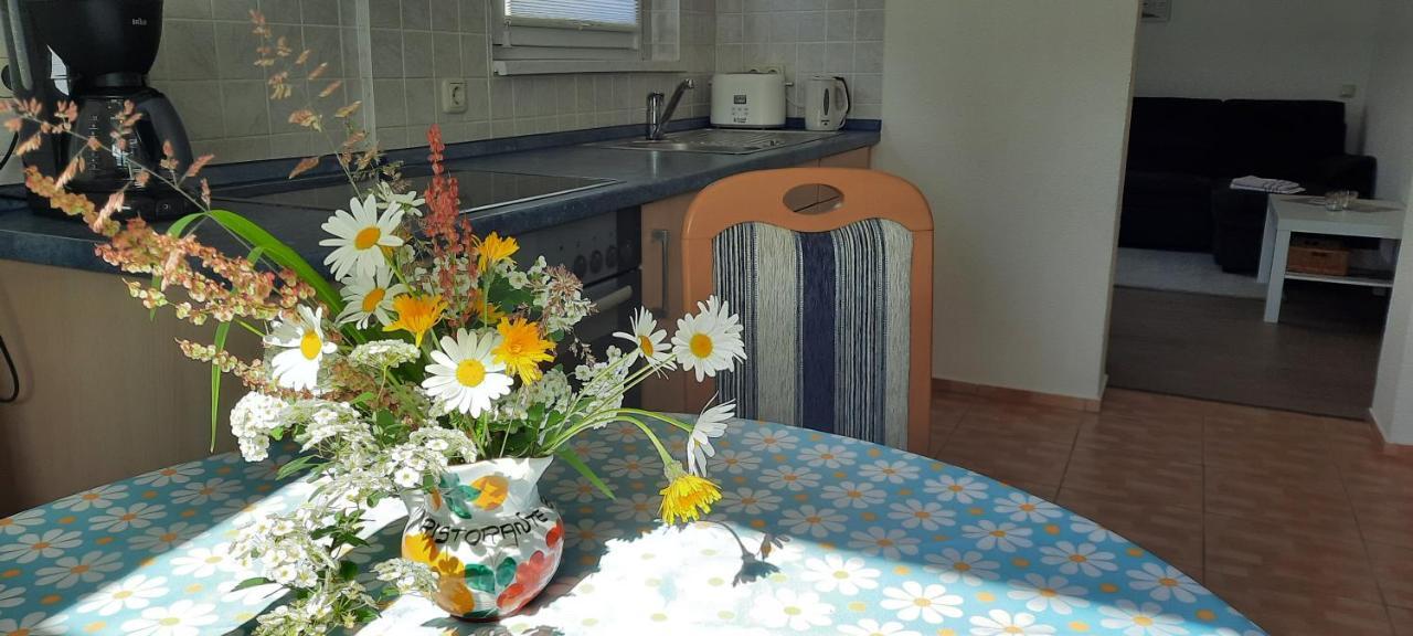 Gaensebluemchen Holiday home